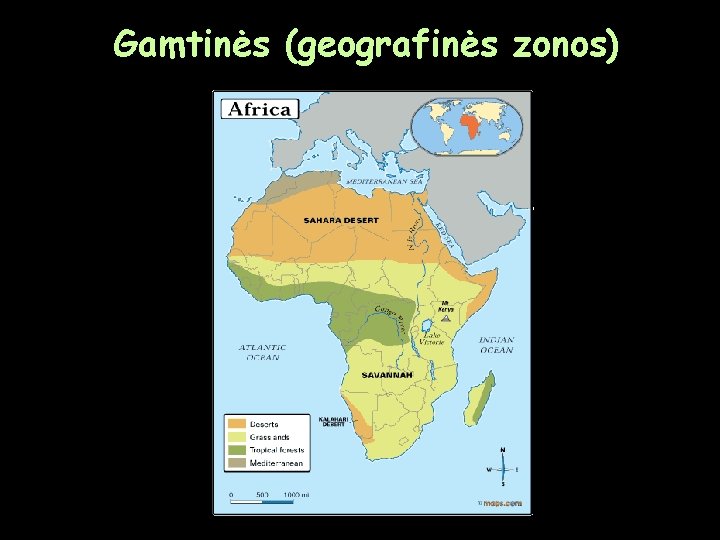 Gamtinės (geografinės zonos) 