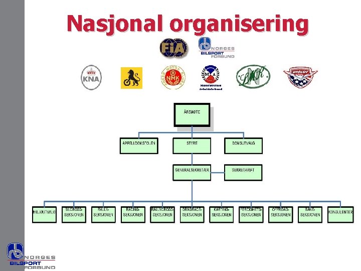 Nasjonal organisering 