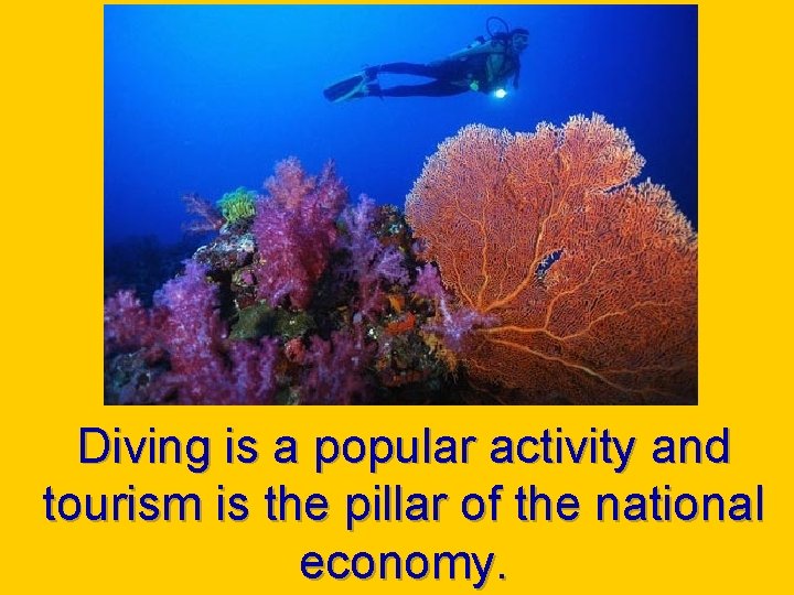 Diving is a popular activity and tourism is the pillar of the national economy.