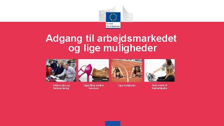 Adgang til arbejdsmarkedet og lige muligheder Uddannelse og livslang læring Ligestilling mellem kønnene Lige