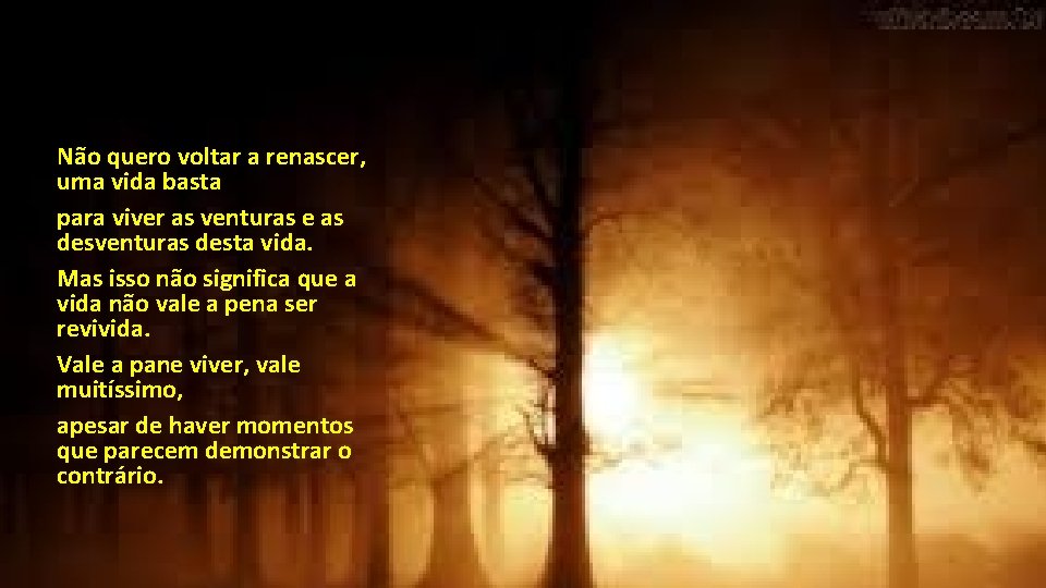 Não quero voltar a renascer, uma vida basta para viver as venturas e as Não quero voltar a renascer, uma vida basta para viver as venturas e as