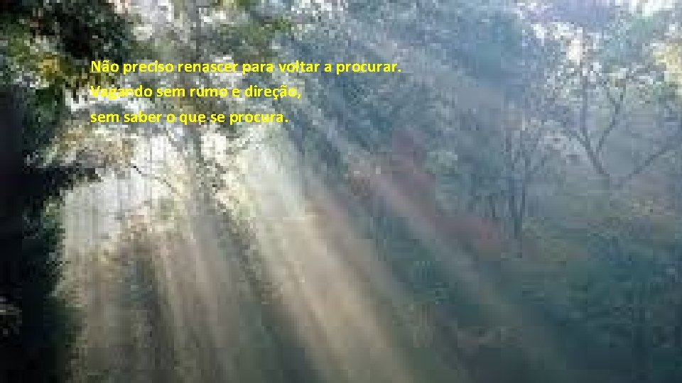 Não preciso renascer para voltar a procurar. Vagando sem rumo e direção, sem saber Não preciso renascer para voltar a procurar. Vagando sem rumo e direção, sem saber
