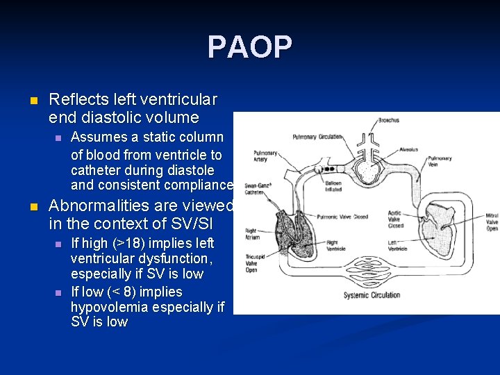 PAOP n Reflects left ventricular end diastolic volume n n Assumes a static column