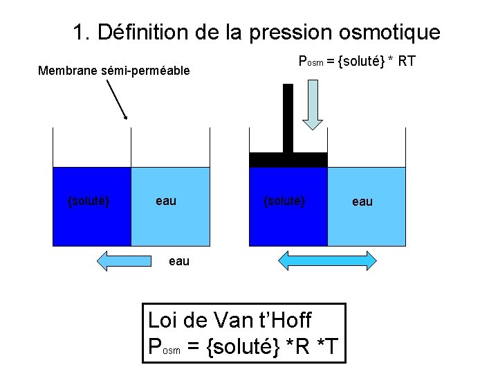 1. Définition de la pression osmotique Membrane sémi-perméable {soluté} eau Posm = {soluté} *