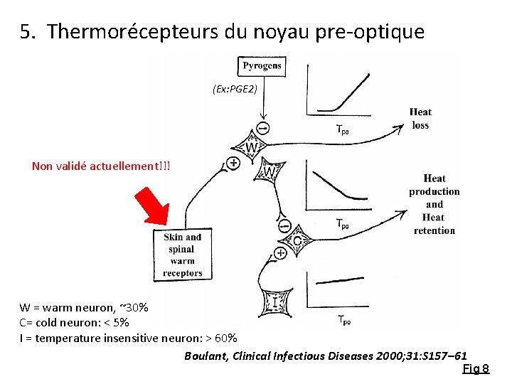 5. Thermorécepteurs du noyau pre-optique (Ex: PGE 2) Non validé actuellement!!! W = warm