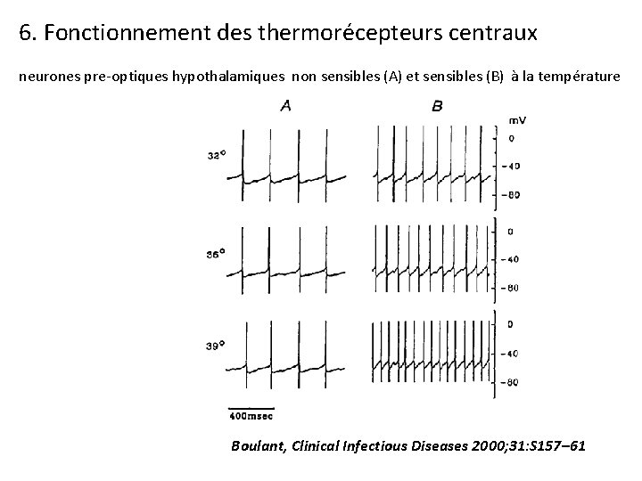 6. Fonctionnement des thermorécepteurs centraux neurones pre-optiques hypothalamiques non sensibles (A) et sensibles (B)