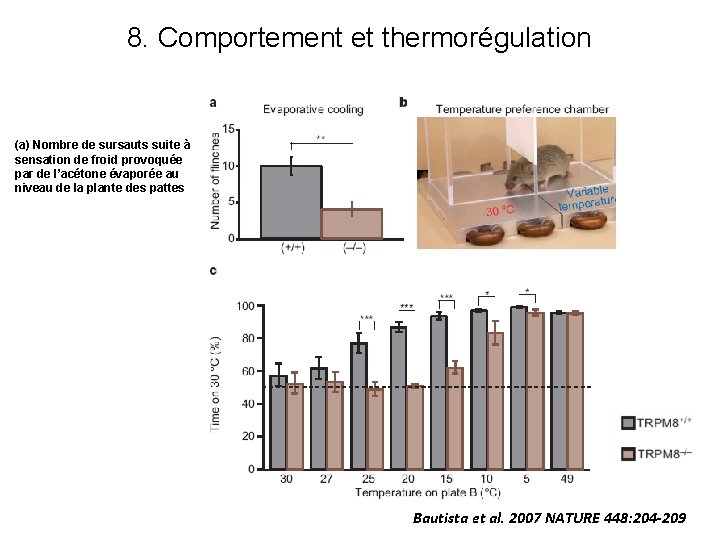 8. Comportement et thermorégulation (a) Nombre de sursauts suite à sensation de froid provoquée