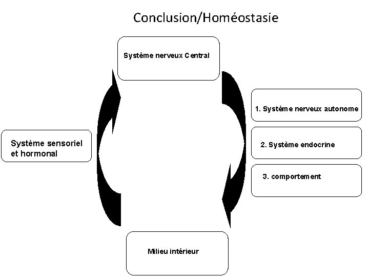 Conclusion/Homéostasie Système nerveux Central 1. Système nerveux autonome Système sensoriel et hormonal 2. Système