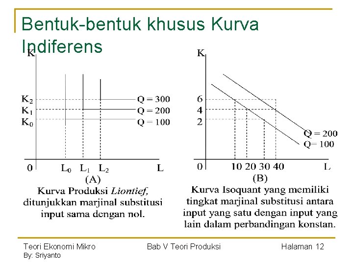 Teori perilaku produsen dalam ekonomi mikro