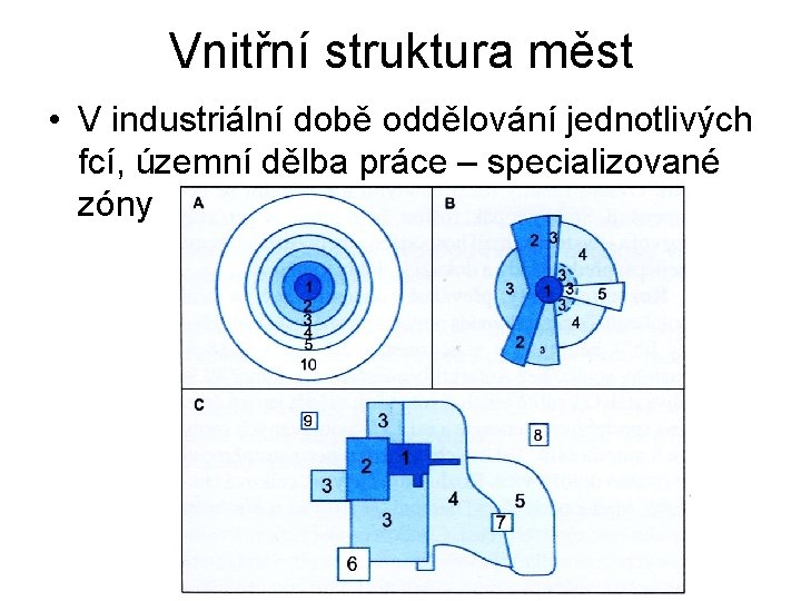 Vnitřní struktura měst • V industriální době oddělování jednotlivých fcí, územní dělba práce –