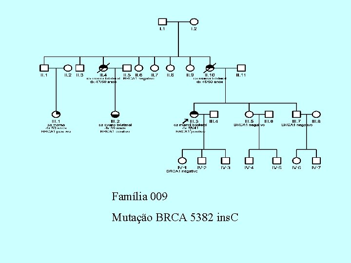 Família 009 Mutação BRCA 5382 ins. C 