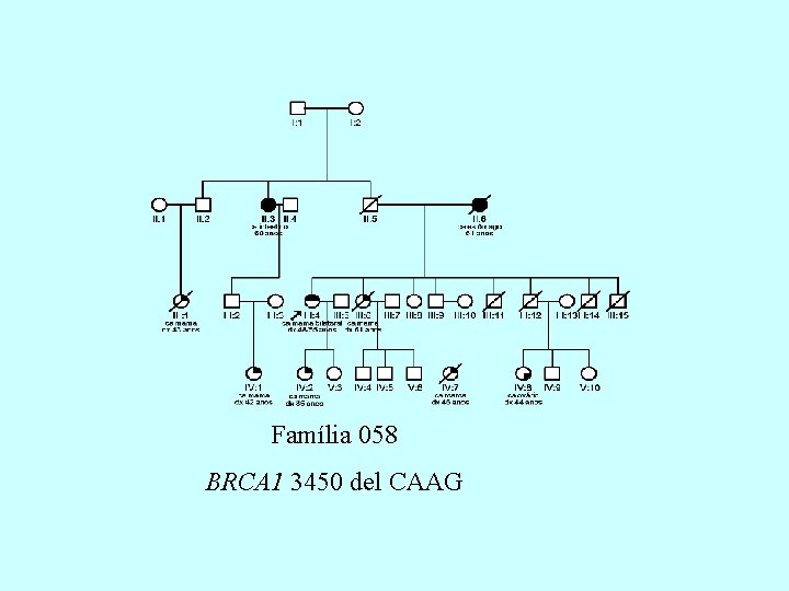 Família 058 BRCA 1 3450 del CAAG 