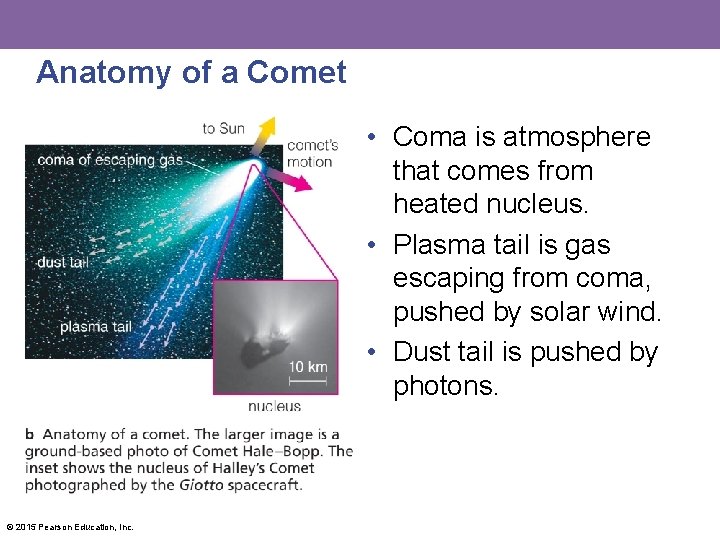 Anatomy of a Comet • Coma is atmosphere that comes from heated nucleus. •