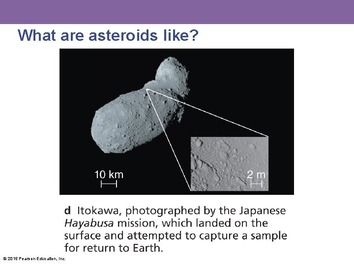 What are asteroids like? © 2015 Pearson Education, Inc. 