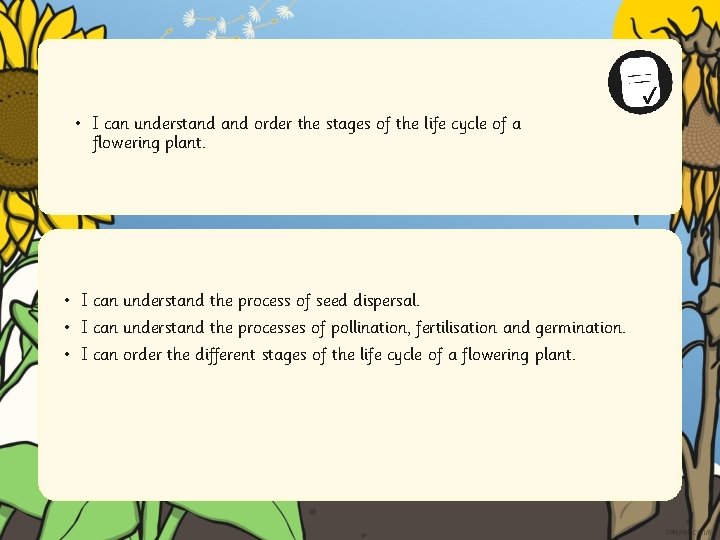  • I can understand order the stages of the life cycle of a