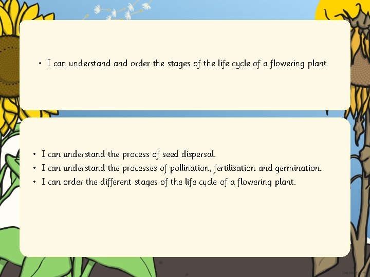  • I can understand order the stages of the life cycle of a