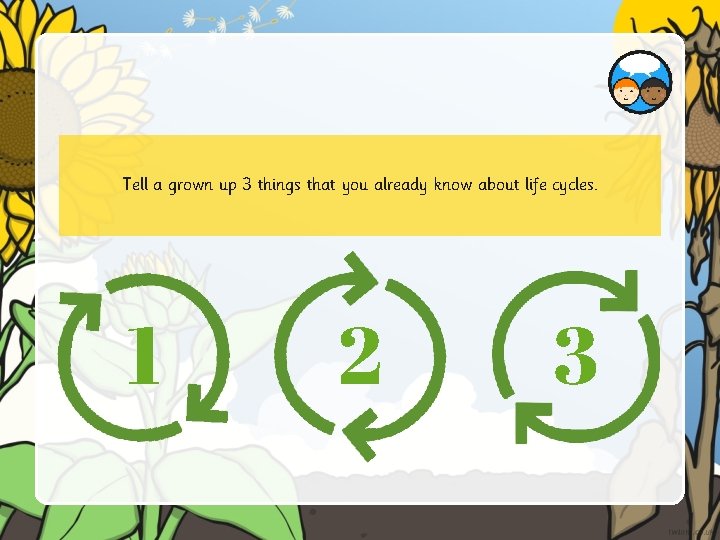 Tell a grown up 3 things that you already know about life cycles. 1