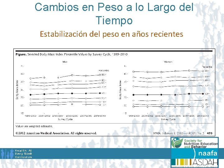 Cambios en Peso a lo Largo del Tiempo Estabilización del peso en años recientes