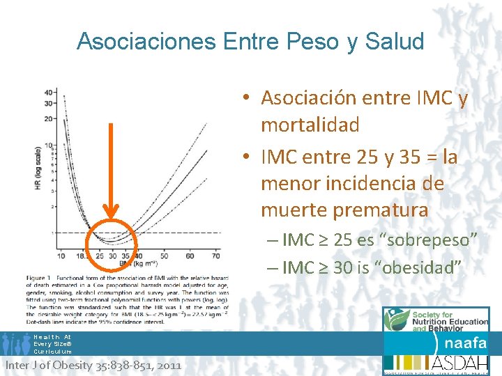 Asociaciones Entre Peso y Salud • Asociación entre IMC y mortalidad • IMC entre