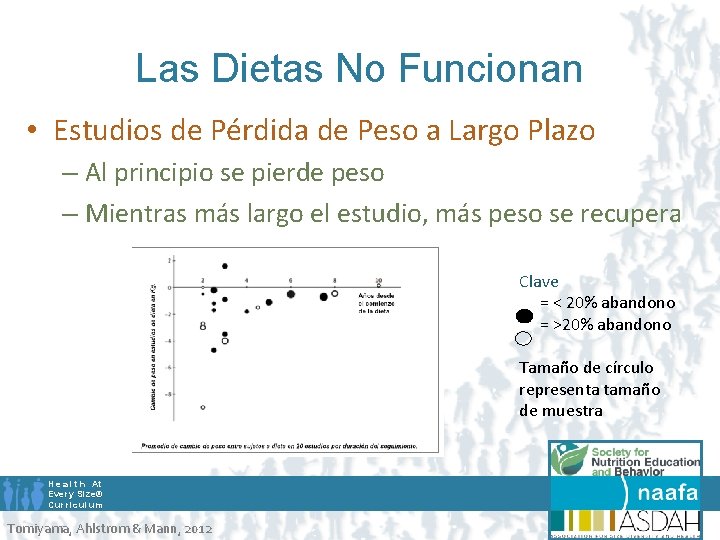 Las Dietas No Funcionan • Estudios de Pérdida de Peso a Largo Plazo –