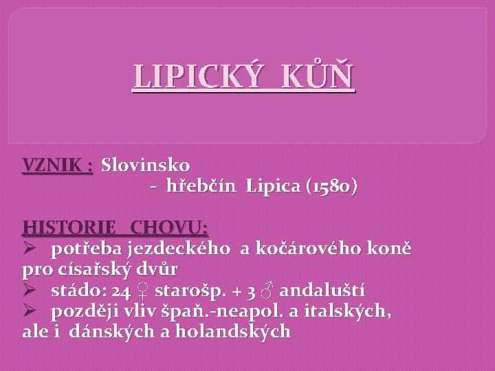 LIPICKÝ KŮŇ VZNIK : Slovinsko - hřebčín Lipica (1580) HISTORIE CHOVU: Ø potřeba jezdeckého