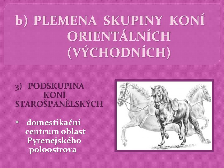 b) PLEMENA SKUPINY KONÍ ORIENTÁLNÍCH (VÝCHODNÍCH) 3) PODSKUPINA KONÍ STAROŠPANĚLSKÝCH § domestikační centrum oblast