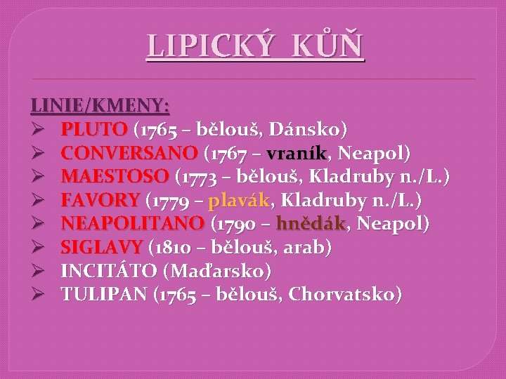 LIPICKÝ KŮŇ LINIE/KMENY: Ø PLUTO (1765 – bělouš, Dánsko) Ø CONVERSANO (1767 – vraník,