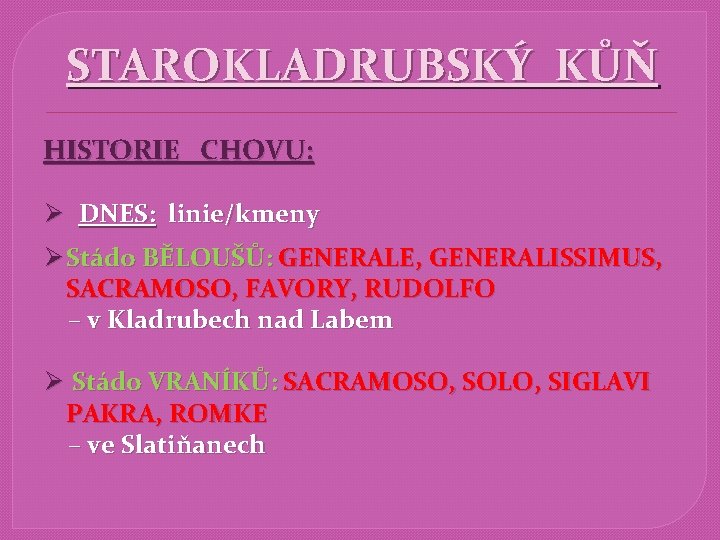 STAROKLADRUBSKÝ KŮŇ HISTORIE CHOVU: Ø DNES: linie/kmeny Ø Stádo BĚLOUŠŮ: GENERALE, GENERALISSIMUS, SACRAMOSO, FAVORY,