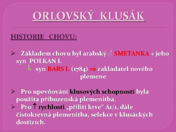 ORLOVSKÝ KLUSÁK HISTORIE CHOVU: Ø Základem chovu byl arabský ♂ SMETANKA + jeho syn