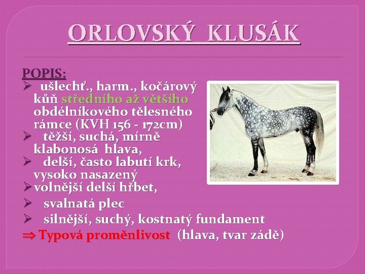 ORLOVSKÝ KLUSÁK POPIS: Ø ušlechť. , harm. , kočárový kůň středního až většího obdélníkového