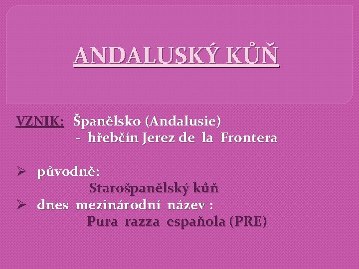 ANDALUSKÝ KŮŇ VZNIK: Španělsko (Andalusie) - hřebčín Jerez de la Frontera Ø původně: Starošpanělský