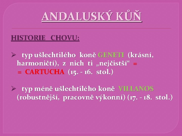 ANDALUSKÝ KŮŇ HISTORIE CHOVU: Ø typ ušlechtilého koně GENETI (krásní, harmoničtí), z nich ti