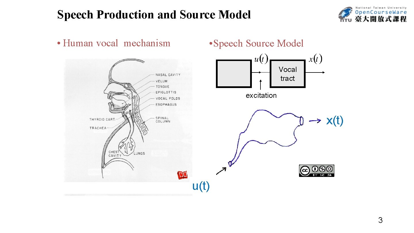 Speech Production and Source Model • Human vocal mechanism • Speech Source Model Vocal