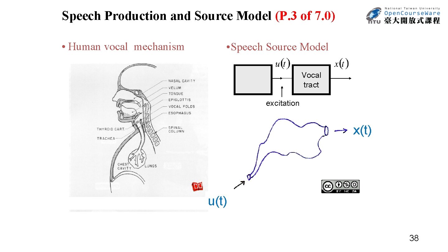 Speech Production and Source Model (P. 3 of 7. 0) • Human vocal mechanism