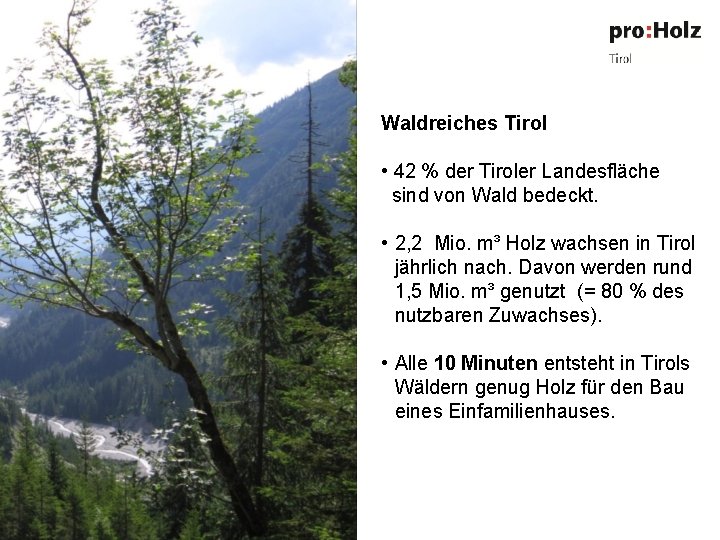 Waldreiches Tirol • 42 % der Tiroler Landesfläche sind von Wald bedeckt. • 2,