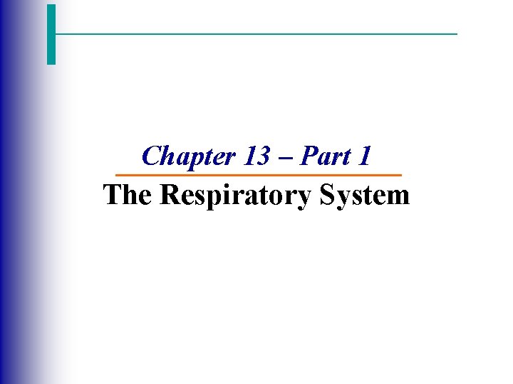 Chapter 13 – Part 1 The Respiratory System 