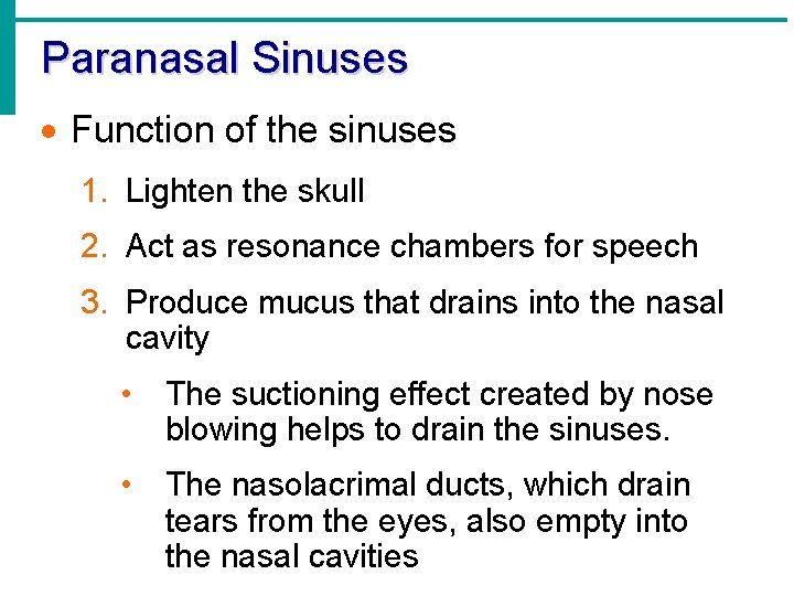 Paranasal Sinuses · Function of the sinuses 1. Lighten the skull 2. Act as