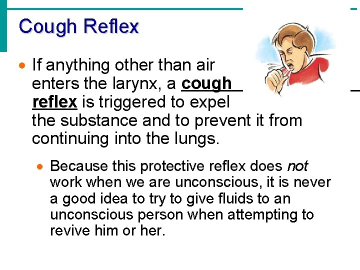 Cough Reflex · If anything other than air enters the larynx, a cough reflex