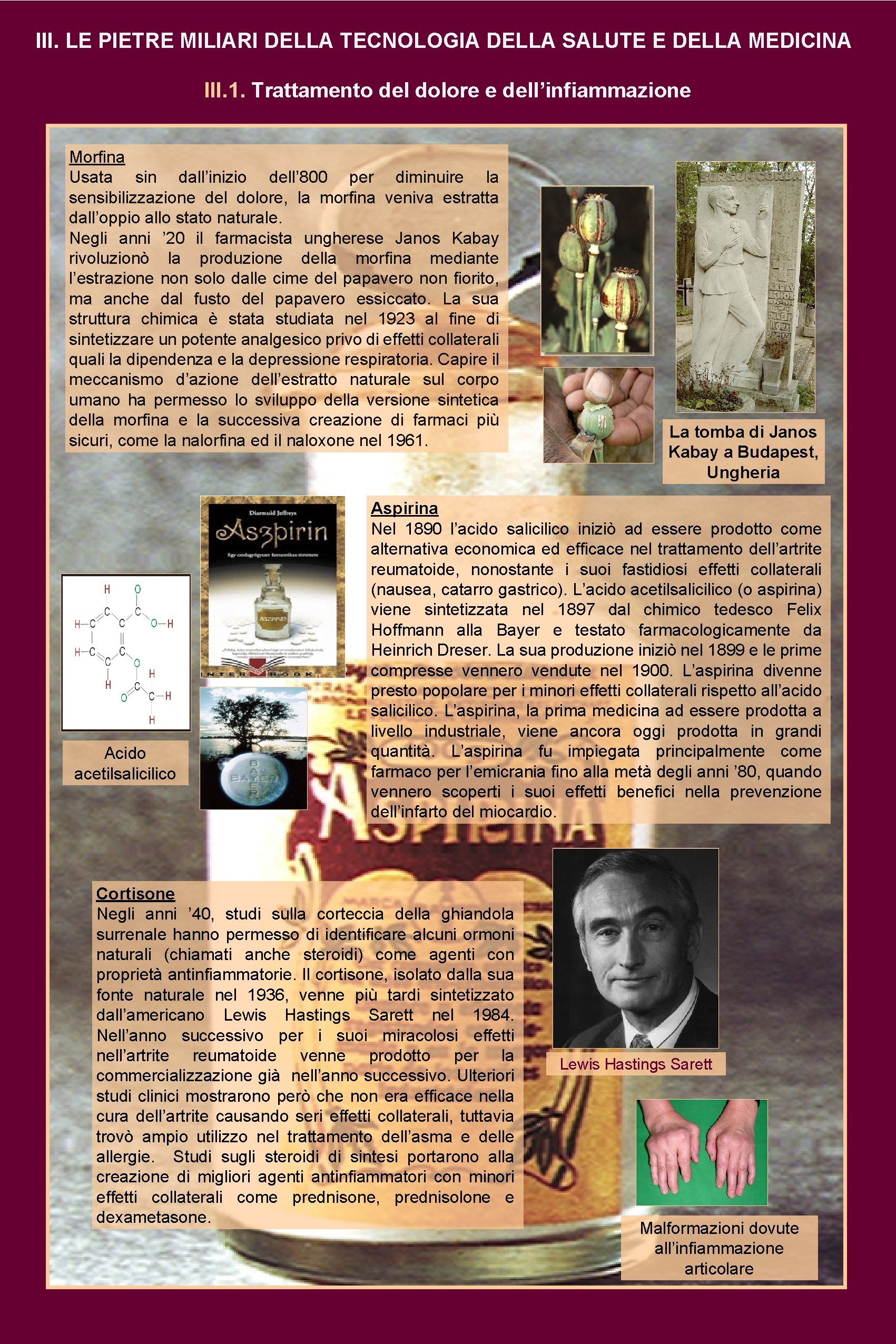 III. LE PIETRE MILIARI DELLA TECNOLOGIA DELLA SALUTE E DELLA MEDICINA III. 1. Trattamento