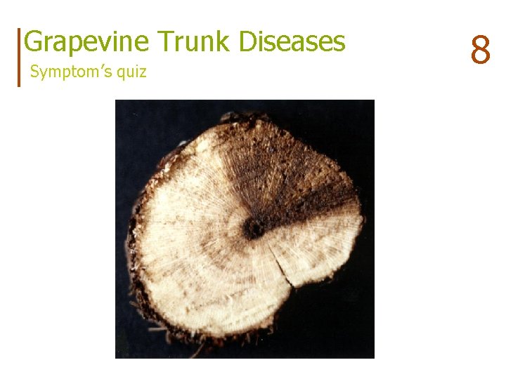 Grapevine Trunk Diseases Symptom’s quiz 8 