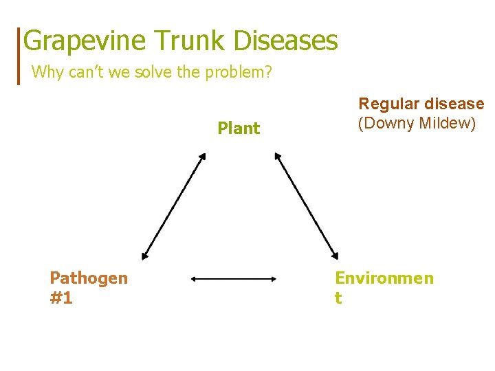 Grapevine Trunk Diseases Why can’t we solve the problem? Plant Pathogen #1 Regular disease