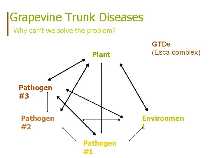Grapevine Trunk Diseases Why can’t we solve the problem? Plant GTDs (Esca complex) Pathogen
