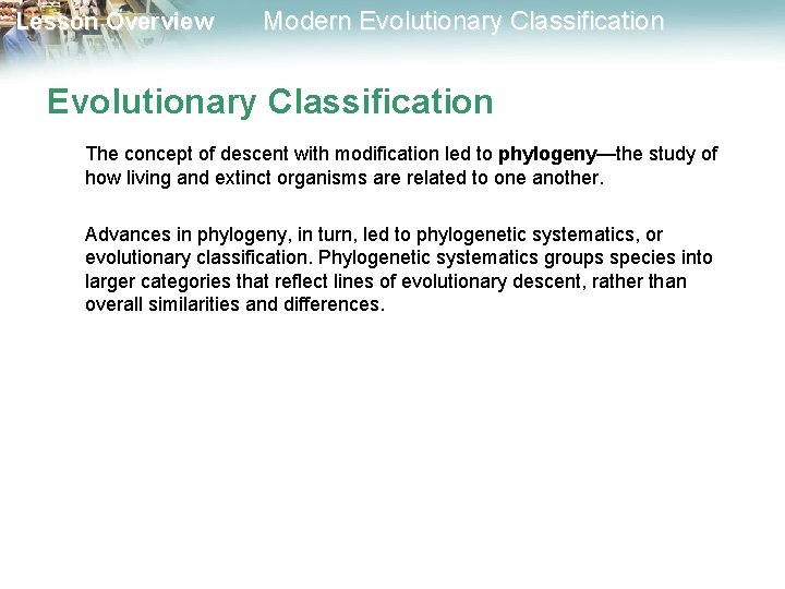 Lesson Overview Modern Evolutionary Classification The concept of descent with modification led to phylogeny—the