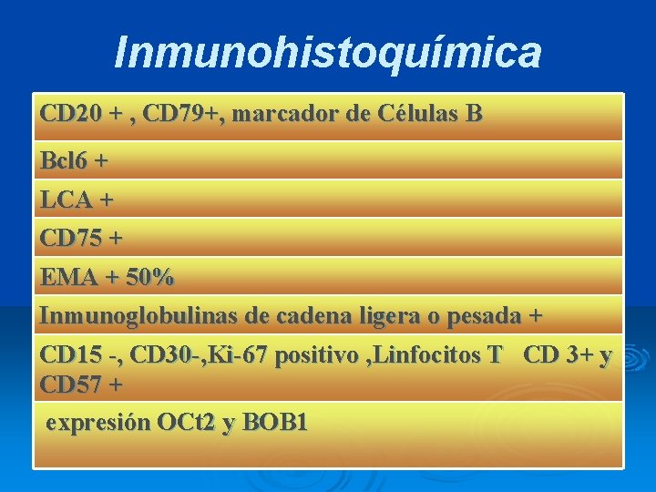 Inmunohistoquímica CD 20 + , CD 79+, marcador de Células B Bcl 6 +