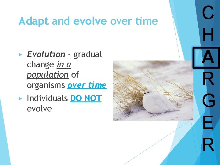 Adapt and evolve over time ▶ Evolution - gradual change in a population of
