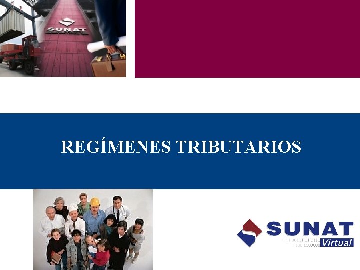 REGÍMENES TRIBUTARIOS 