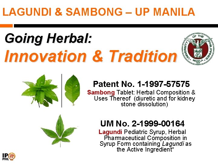 LAGUNDI & SAMBONG – UP MANILA Going Herbal: Innovation & Tradition Patent No. 1