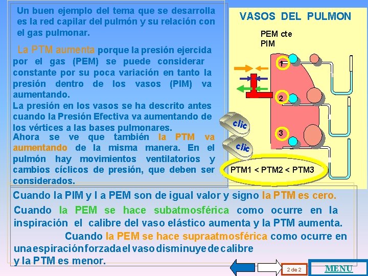 Un buen ejemplo del tema que se desarrolla es la red capilar del pulmón