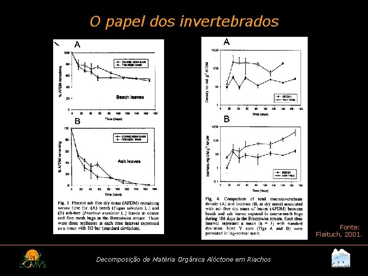 O papel dos invertebrados Fonte: Fleituch, 2001. Decomposição de Matéria Orgânica Alóctone em Riachos