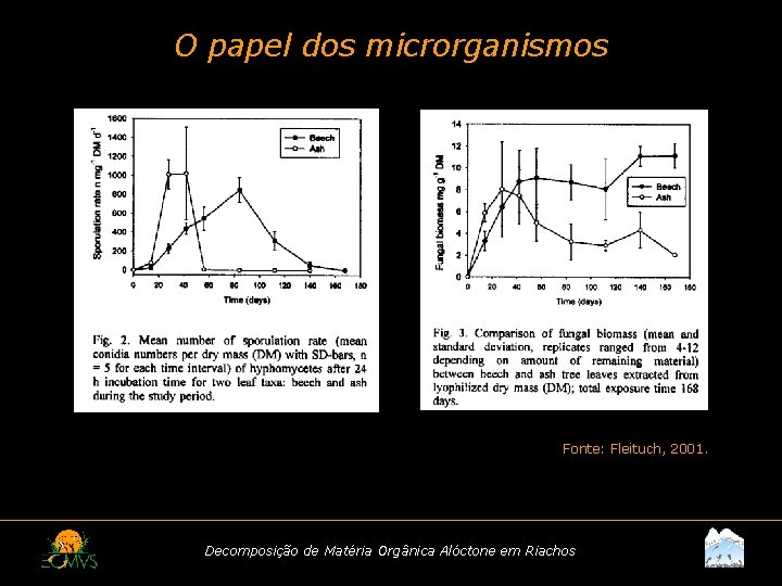 O papel dos microrganismos Fonte: Fleituch, 2001. Decomposição de Matéria Orgânica Alóctone em Riachos